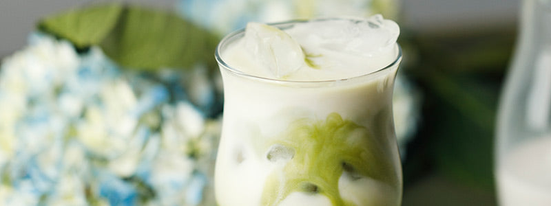 Amoretti Iced Coconut Matcha