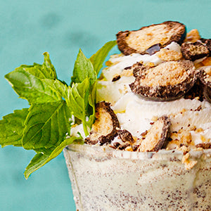 Amoretti Mint Chocolate Chip Malt