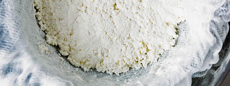 Amoretti Homemade Ricotta Cheese