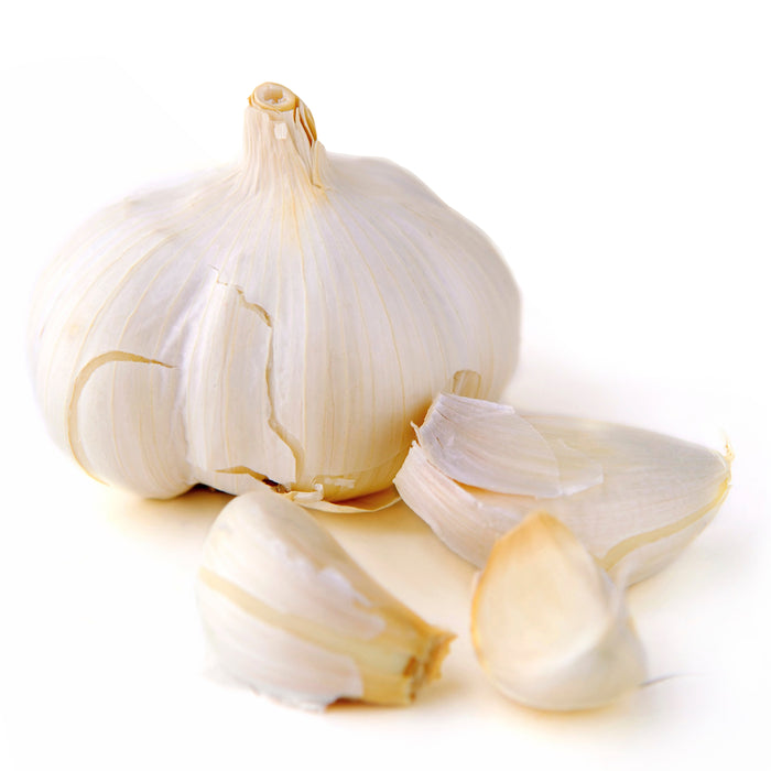 Garlic Oil Extract Oil Soluble